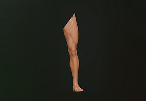 Male Leg 3D model