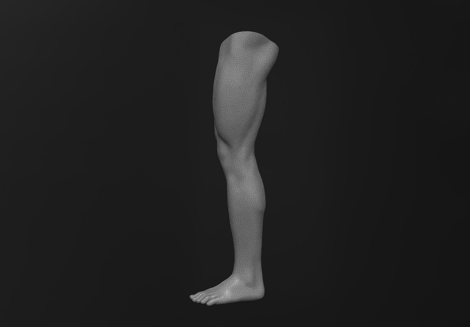 Male Leg 3d Model Turbosquid 2098959