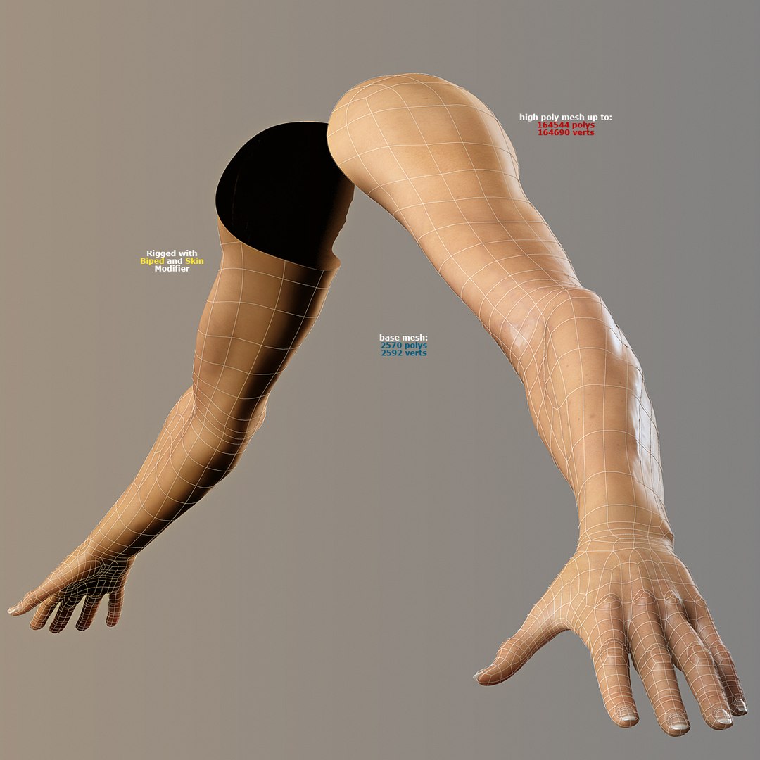 3d max female male https://p.turbosquid.com/ts-thumb/vb/aFkfn7/AP6az8yg/wire/jpg/1302483907/1920x1080/fit_q87/210204a51d543076612a1f21d9b0858edf5d5424/wire.jpg