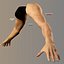 Human Arms v3.9 (max9)