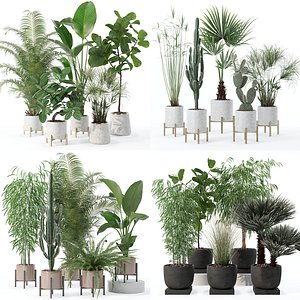 20 Photorealistic Flowers for Interiors - set 120 123 137 142