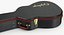 Case Guitar