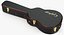 Case Guitar