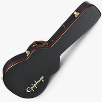 Case Guitar