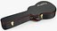 Case Guitar