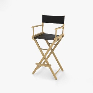 director chair 3D model