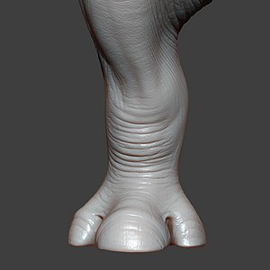 Rhino Baby Front Leg Highpoly Sculpt 3D