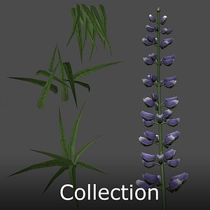 3d grass flower model