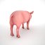Pig Male Low Poly