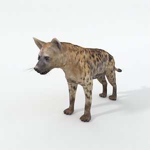 3D model hyena