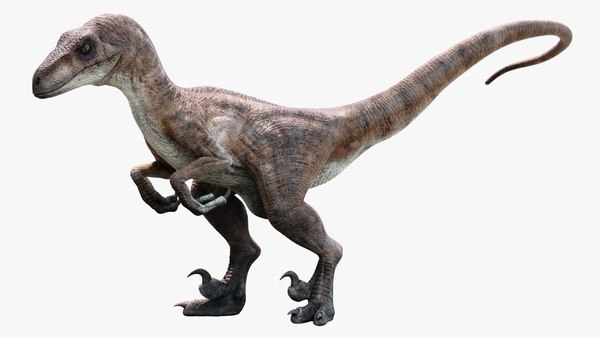 3D velociraptor animation raptor - TurboSquid 1317553