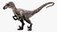 Velociraptor