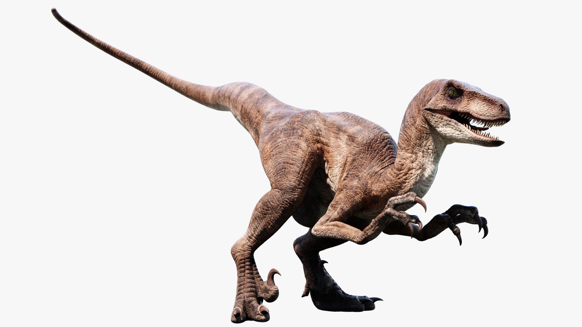 3D velociraptor animation raptor https://p.turbosquid.com/ts-thumb/vc/HL6SFk/EB2dEKPS/2/jpg/1534189359/1920x1080/fit_q87/0e1005bafe6287ba3f29f7efc1f21ee820d795c8/2.jpg
