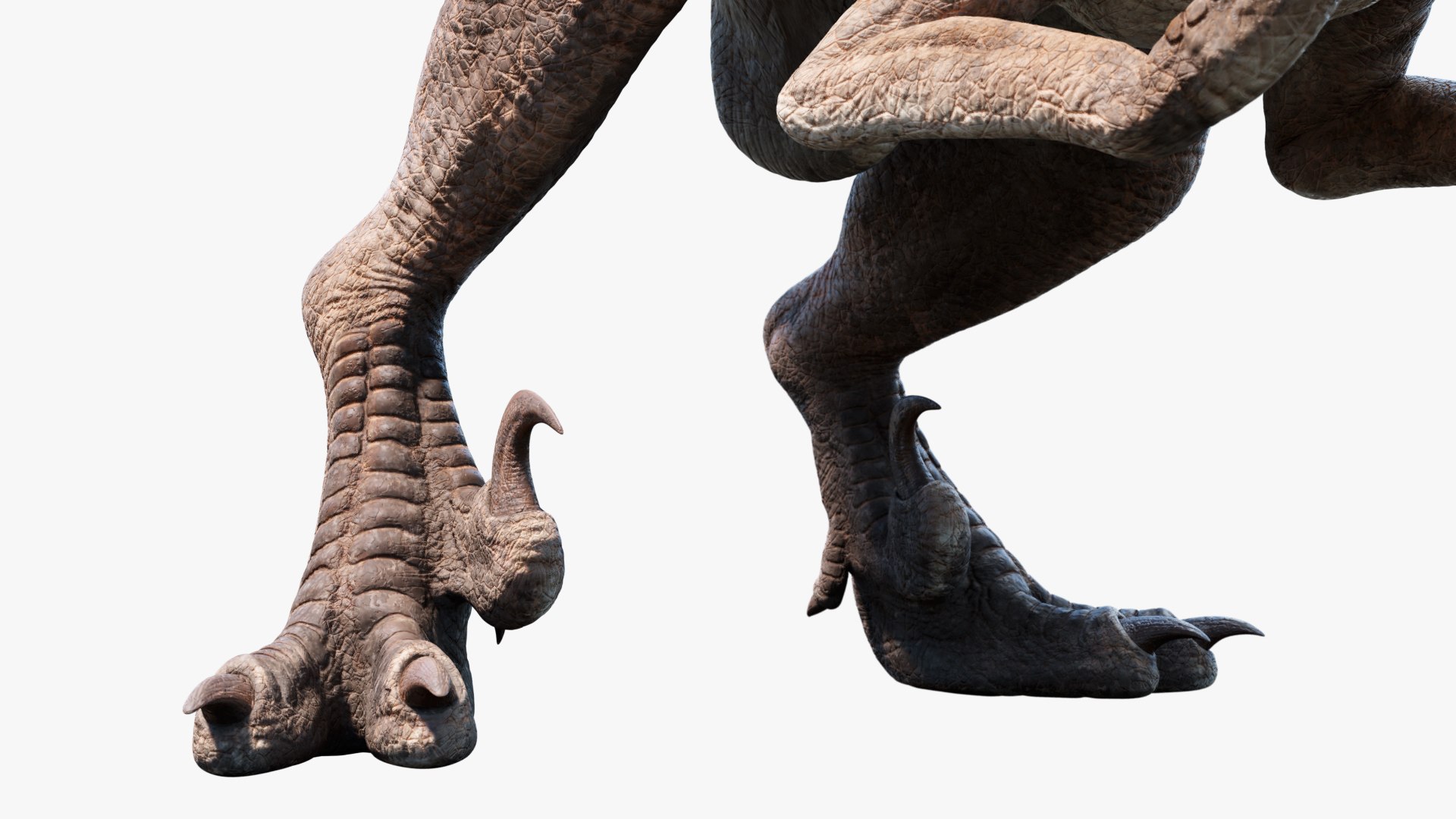 3D velociraptor animation raptor https://p.turbosquid.com/ts-thumb/vc/HL6SFk/LtXmpoXg/4/jpg/1534189359/1920x1080/fit_q87/6b85e6aa937e0407de0ab10fae70f0cac8d66a8a/4.jpg