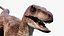 Velociraptor