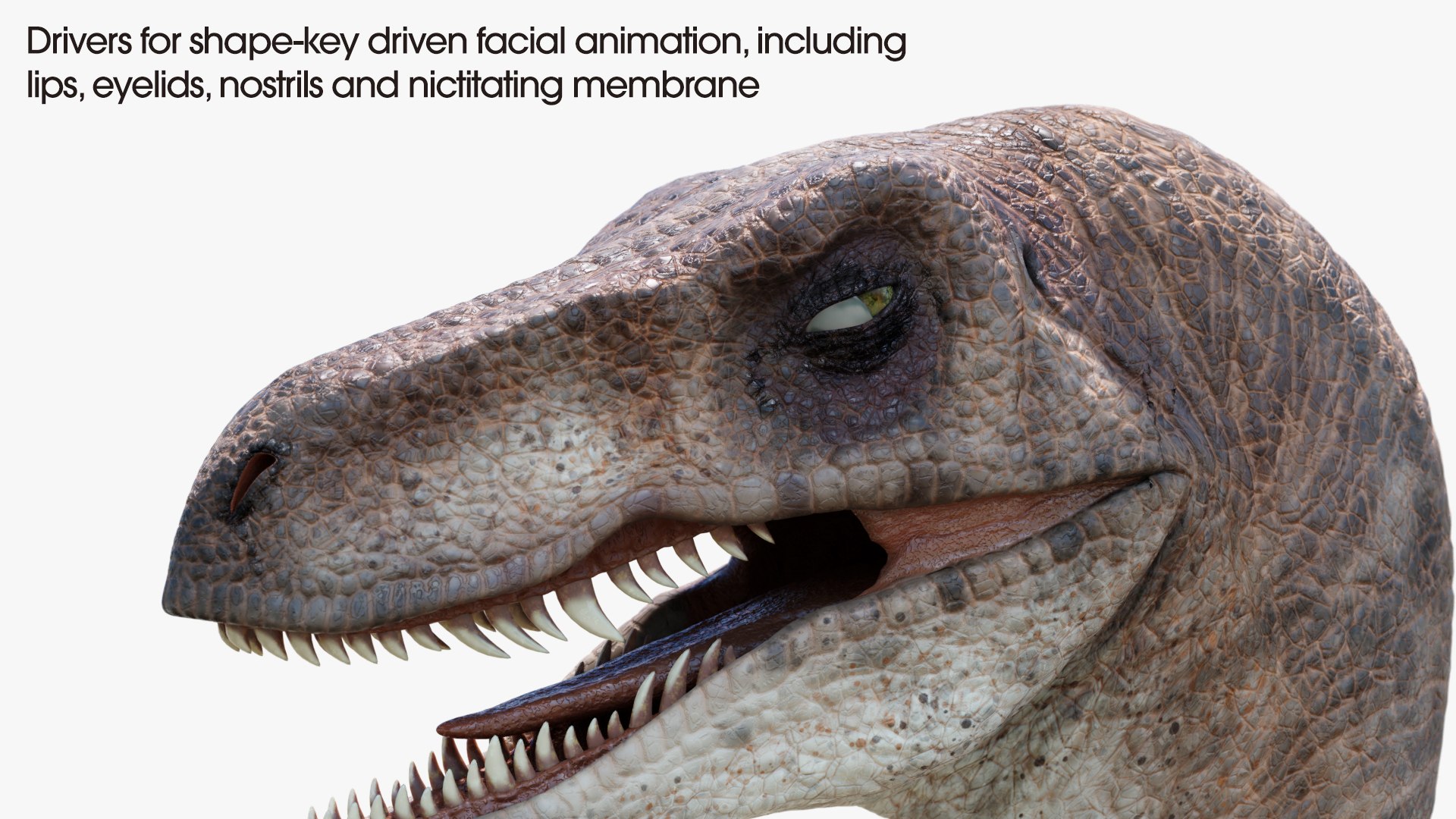 3D velociraptor animation raptor https://p.turbosquid.com/ts-thumb/vc/HL6SFk/V4fnbvDA/10_b/jpg/1534268446/1920x1080/fit_q87/c34fa35ee07b130d26414f739aacda6556622f81/10_b.jpg