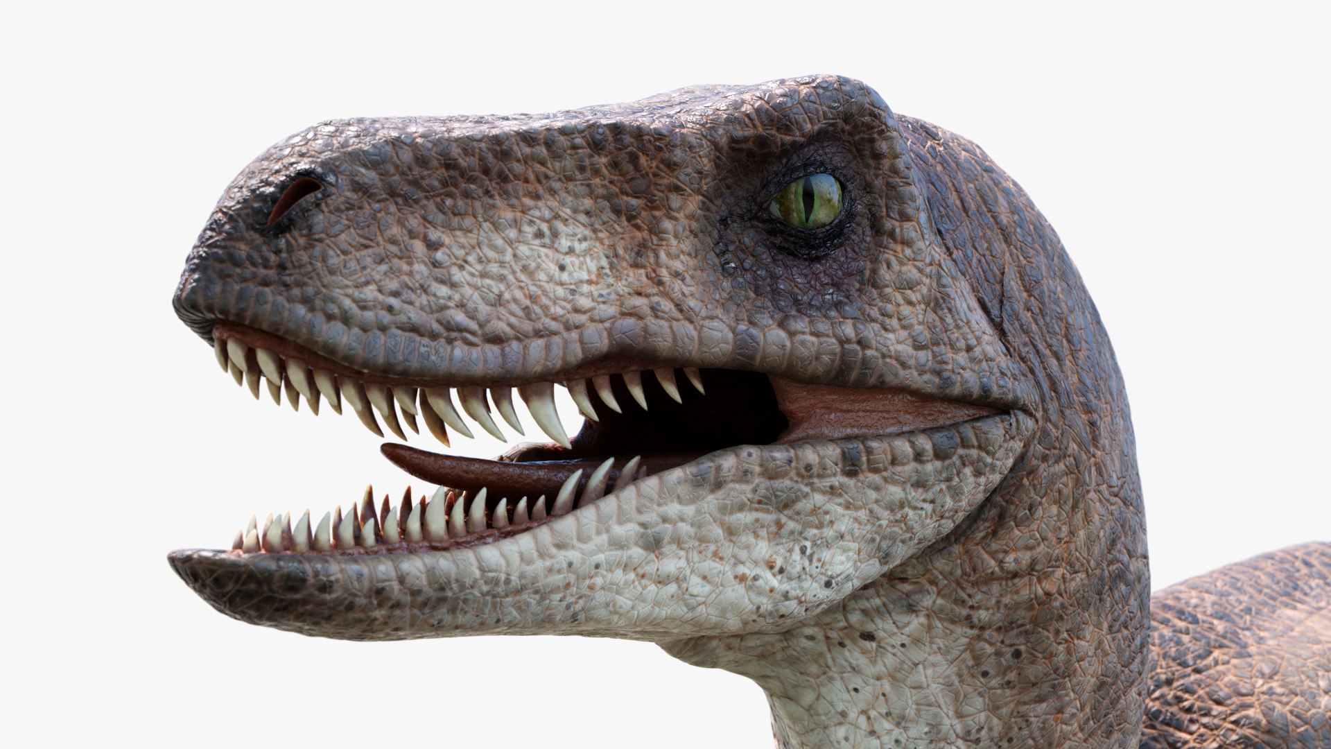 3D velociraptor animation raptor https://p.turbosquid.com/ts-thumb/vc/HL6SFk/hVwhZ78r/6/jpg/1534189359/1920x1080/fit_q87/7cd48c4aa7c6ae29eb2f3447e6b4f9d37374fe85/6.jpg