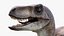 Velociraptor