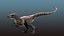 Velociraptor