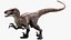 Velociraptor