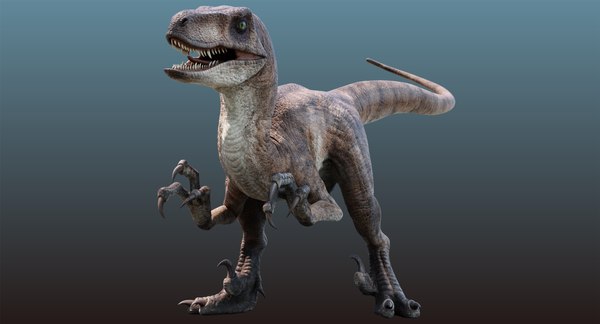 3D velociraptor animation raptor - TurboSquid 1317553