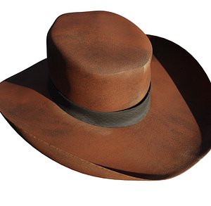 Western Hats model