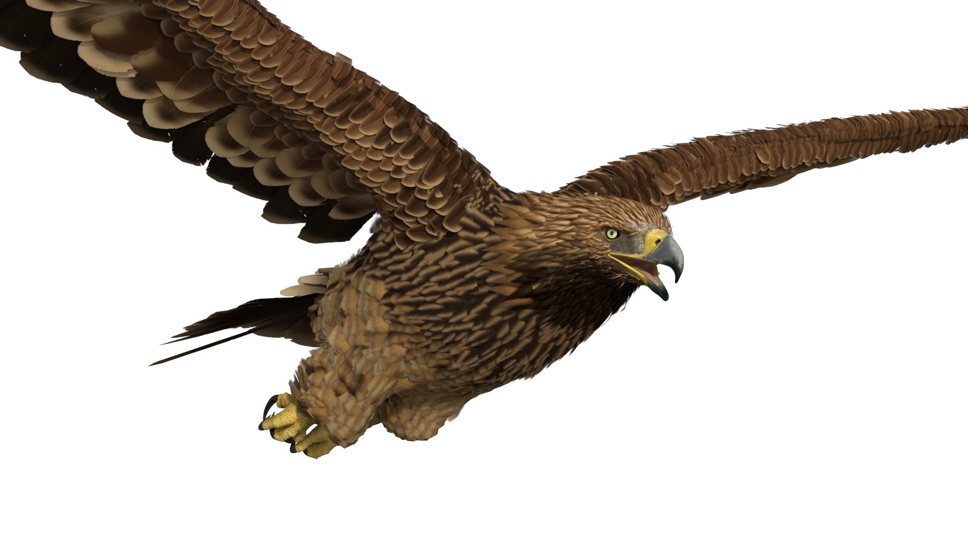 Aquila Heliaca Flying 3D model preview