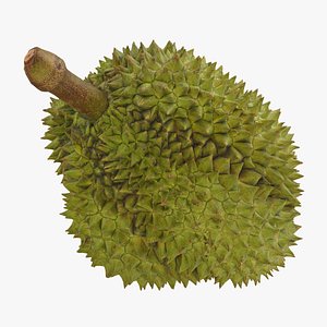 Durian 2 model