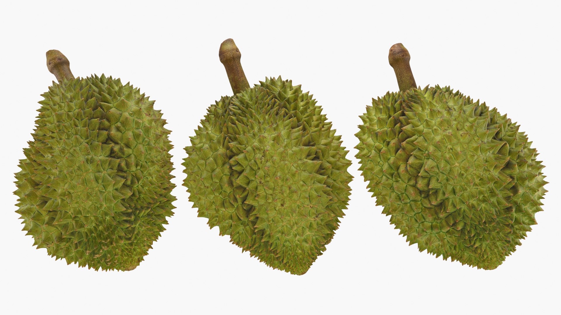 Durian 2 model https://p.turbosquid.com/ts-thumb/vc/WpDPL5/iT/durian_2_a0002/jpg/1686768156/1920x1080/fit_q87/ce8fffaeba753d3557b8407118fb918d117a7541/durian_2_a0002.jpg