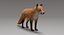 Fox Fur