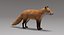 Fox Fur