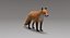 Fox Fur