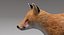 Fox Fur
