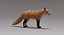 Fox Fur