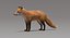 Fox Fur