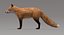 Fox Fur