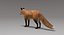Fox Fur