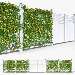 Fence - Mandevilla Sanderi with yellow flowers 3D model