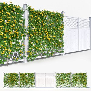 Fence - Mandevilla Sanderi with yellow flowers