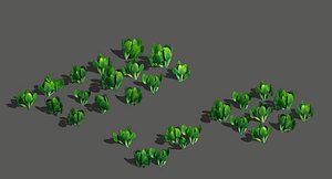 3D model western suburbs - cabbage