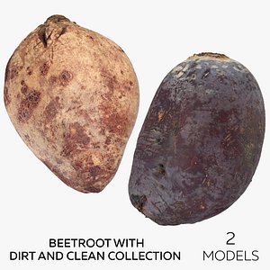 3D Beetroot With Dirt and Clean Collection - 2 models model
