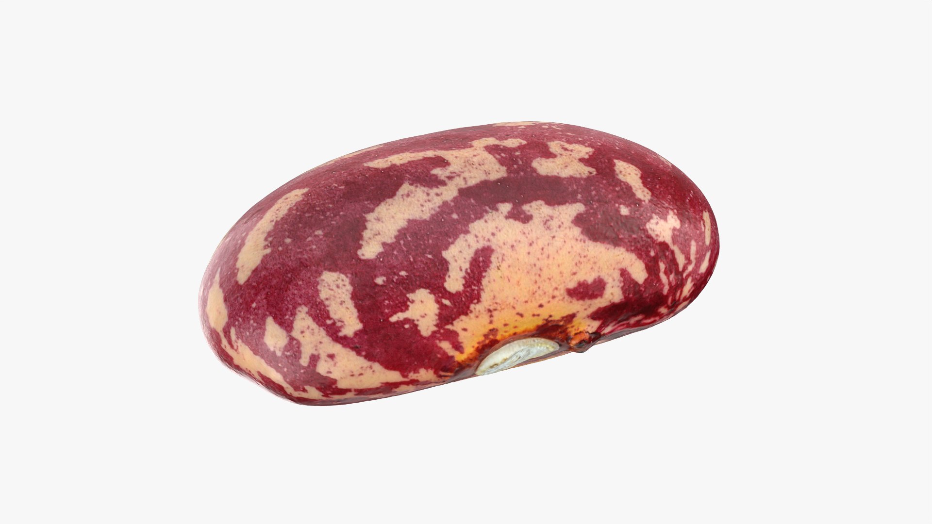 Beans - 3D Scanned Collection 3D model https://p.turbosquid.com/ts-thumb/vc/xMODqe/RW/cranberrybean_0001/png/1789707510/1920x1080/fit_q87/76d78f5f4030c650e02da4e9129bd34a65a562a5/cranberrybean_0001.jpg