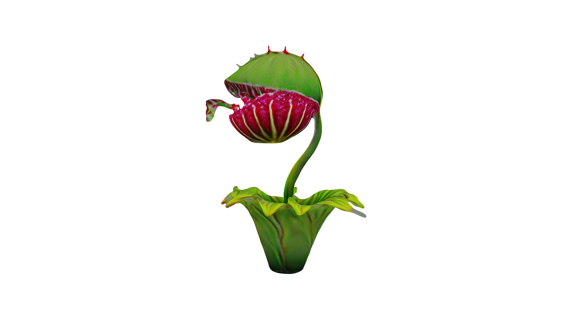 Alien Carnivorous Plant 3D model https://p.turbosquid.com/ts-thumb/vd/3RIfBM/Ay/preview_03/png/1725735210/1920x1080/fit_q87/d957b67a1e7f6def7cb479edb3ae22c3dd99def1/preview_03.jpg