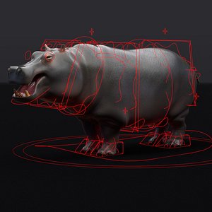 Hippopotamus