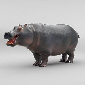 3D Hippopotamus