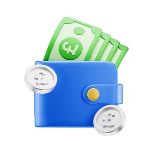 Wallet Coins Banknote Pound Icon