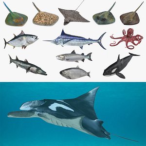 Fishes 3D Models Collection 3