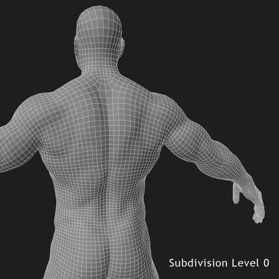 3d ultimate anatomy rigged pack https://p.turbosquid.com/ts-thumb/vd/UGvpHk/04upLRxY/w2/jpg/1436984787/1920x1080/fit_q87/b9af309881222fdff7836cf7b78ac6e85a5bb5cc/w2.jpg