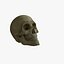 Ultimate Anatomy Rigged Pack