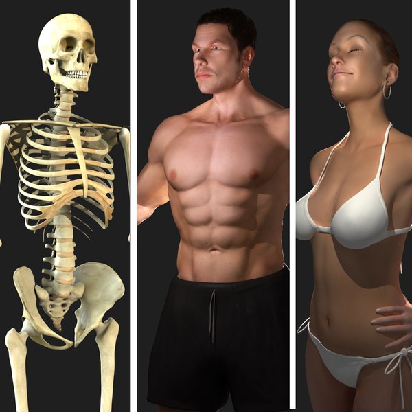 3d ultimate anatomy rigged pack